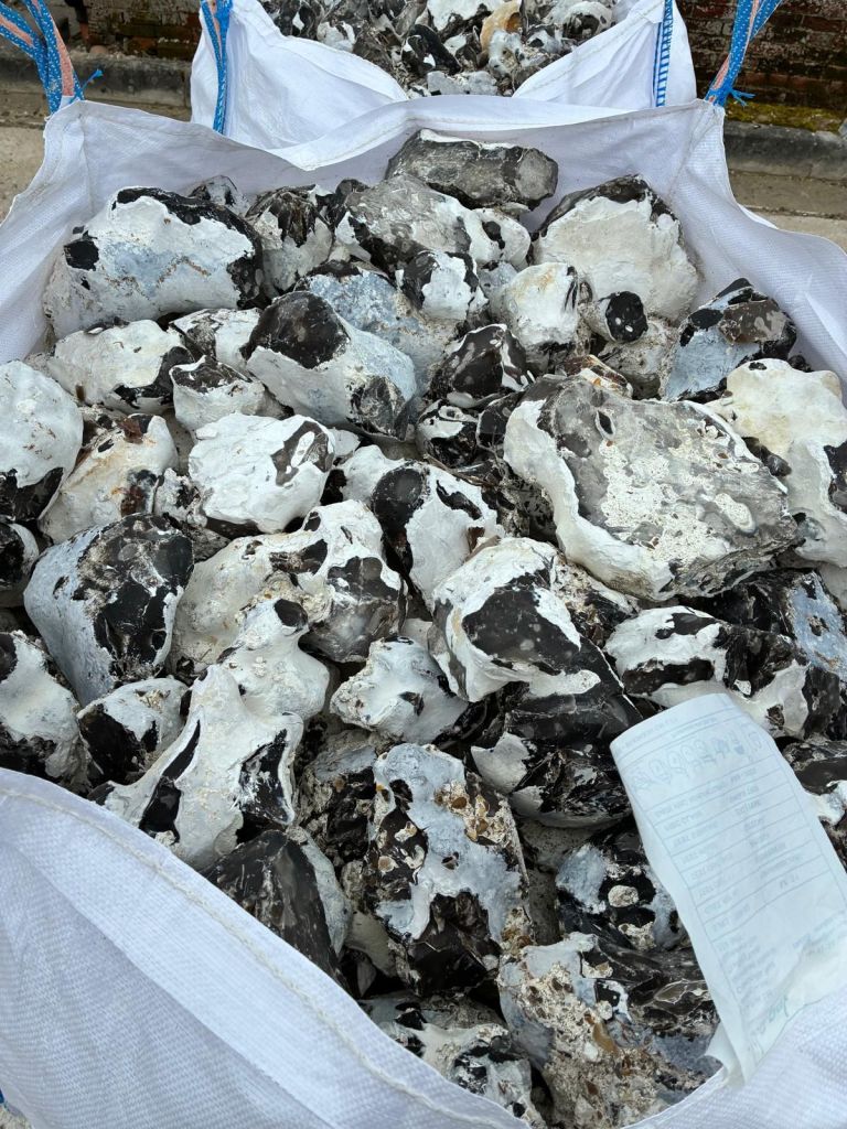 img-20260303-wa00032071637604309070055